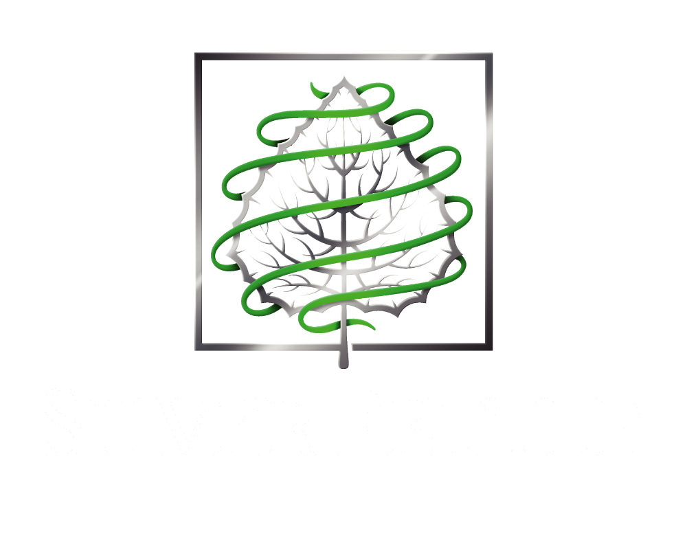 Silver Fettle Incorporated